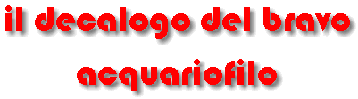 decalogo.gif (5363 byte)